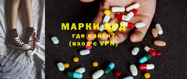 ECSTASY Алзамай