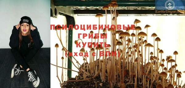 МДМА Алексин