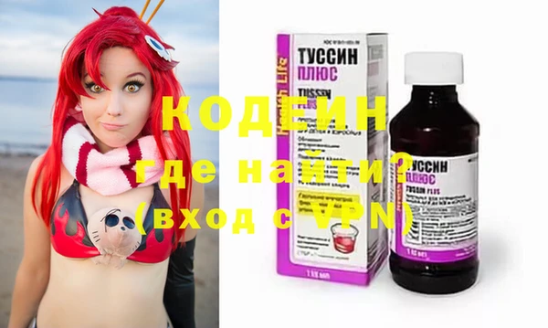 ECSTASY Алзамай